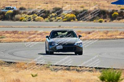 media/Nov-16-2024-Extreme Speed (Sat) [[6587d07cc4]]/Silver Group/Session 2 (Turns 3 and 5)/